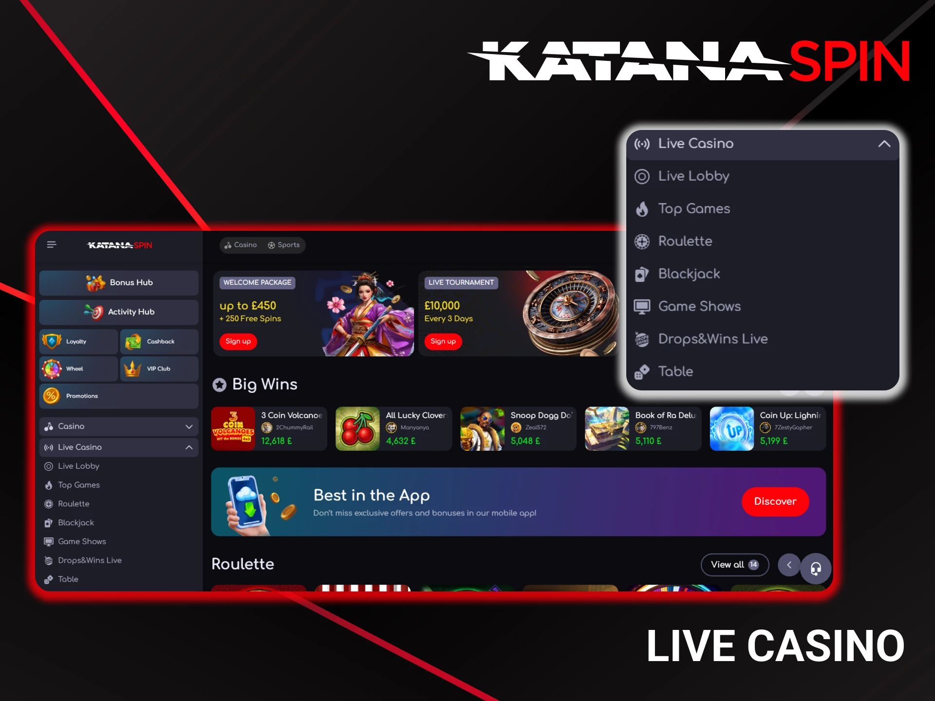 Enjoy playing live casino games on the KatanaSpin website.